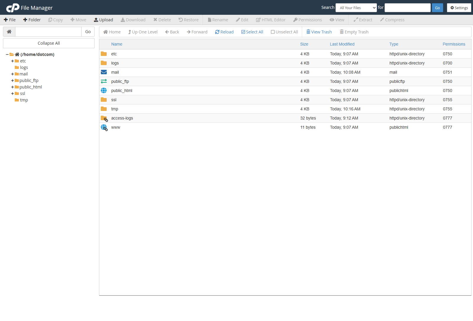 File Manager screen in cPanel