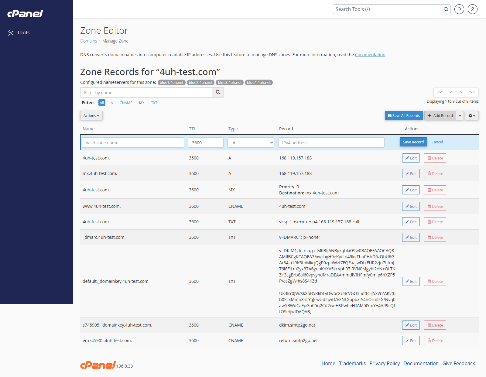 Add DNS record row